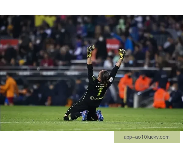 布洛马波卡纳惜败布莱格比赛精彩瞬间全回顾